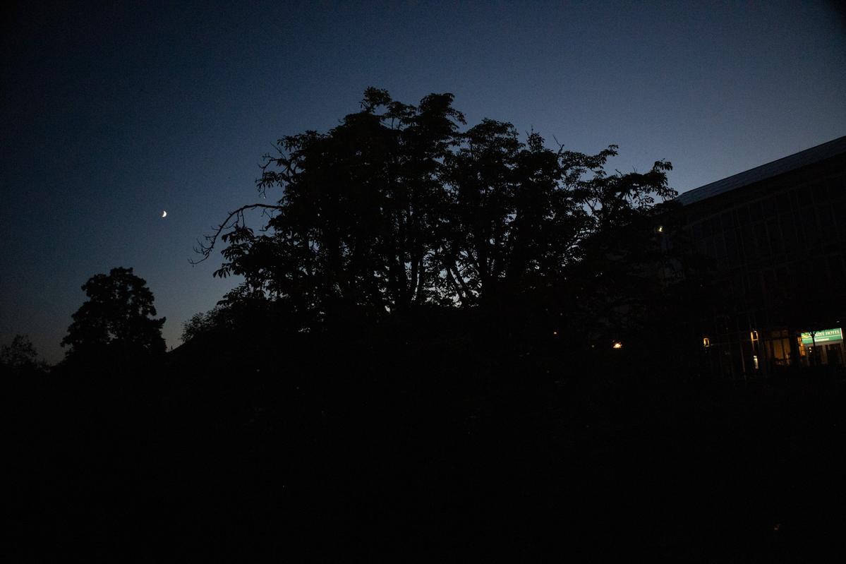 Glitzerbaum
