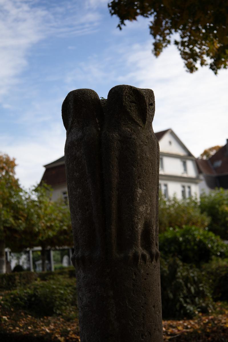 Drei Eulen