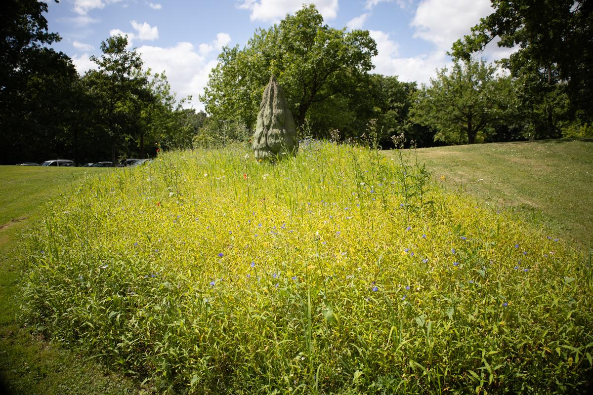 Kraft der Natur