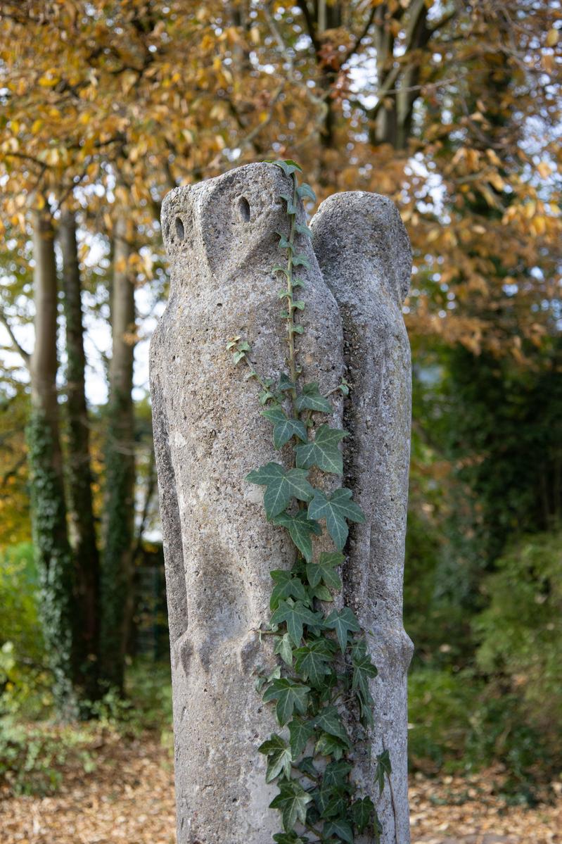 Drei Eulen