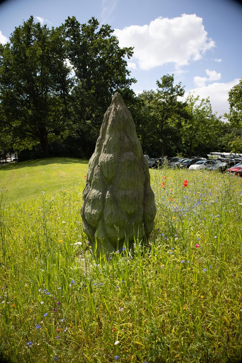 Kraft der Natur