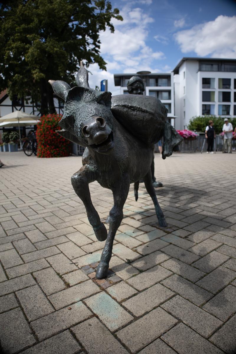 Salzesel mit Sälzerknecht