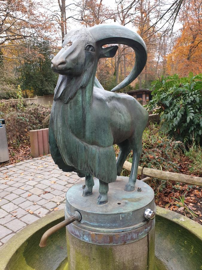 Mähnenschaf