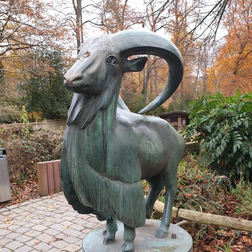 Mähnenschaf von Georg Friedrich Hartje