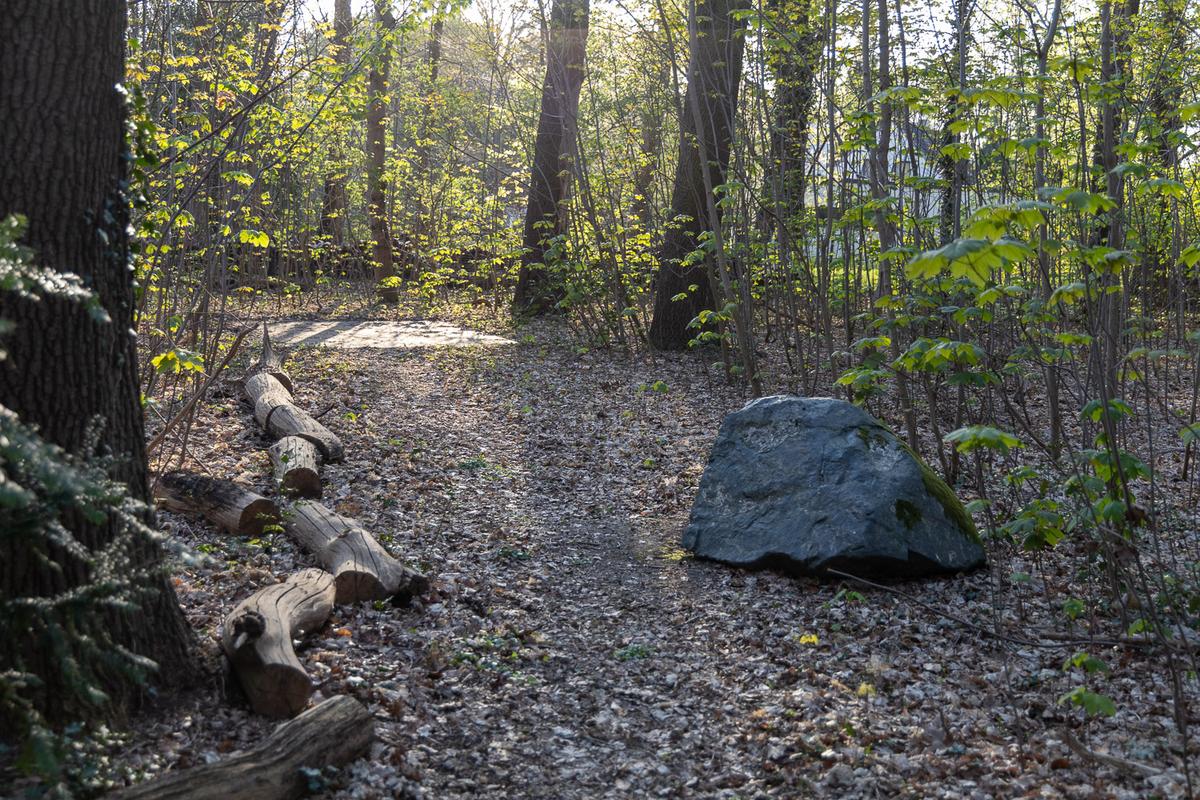 Relatum - Holzwege I