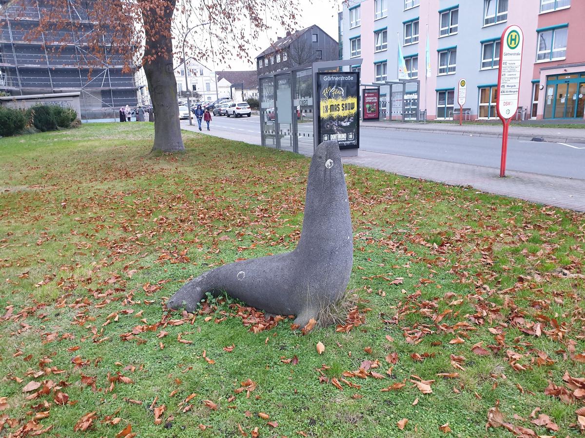 Seehund