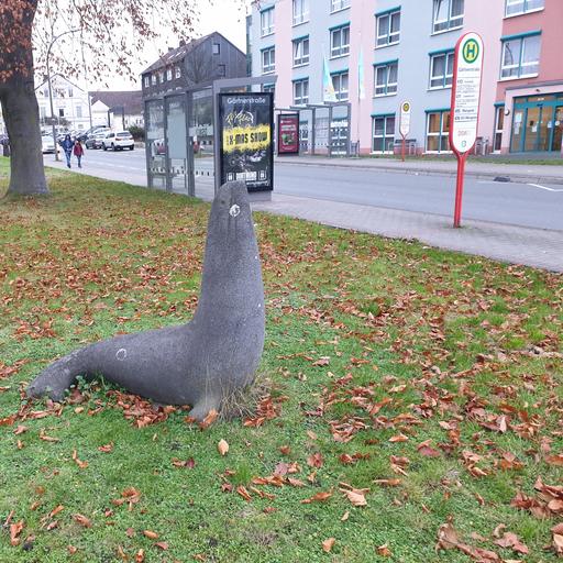 Seehund von Clemens Pasch