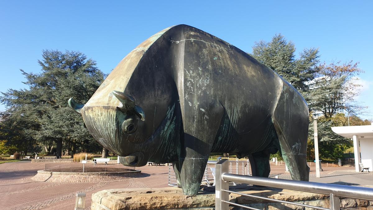 Wisent