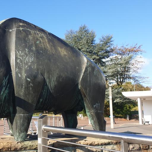 Wisent von Georg Friedrich Hartje