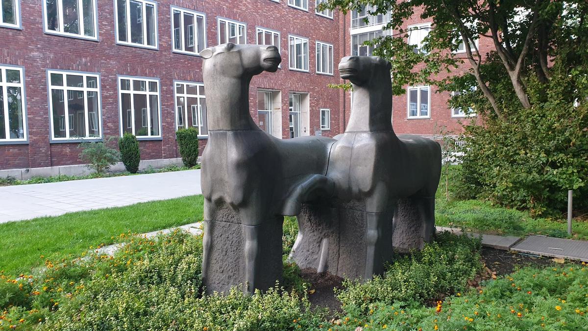Zwei Pferde