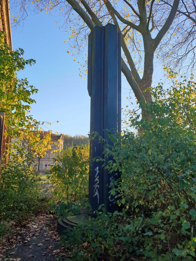 Blauer Dalben 