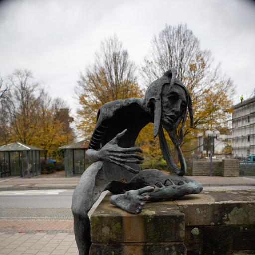 Narr von Wilfried Koch