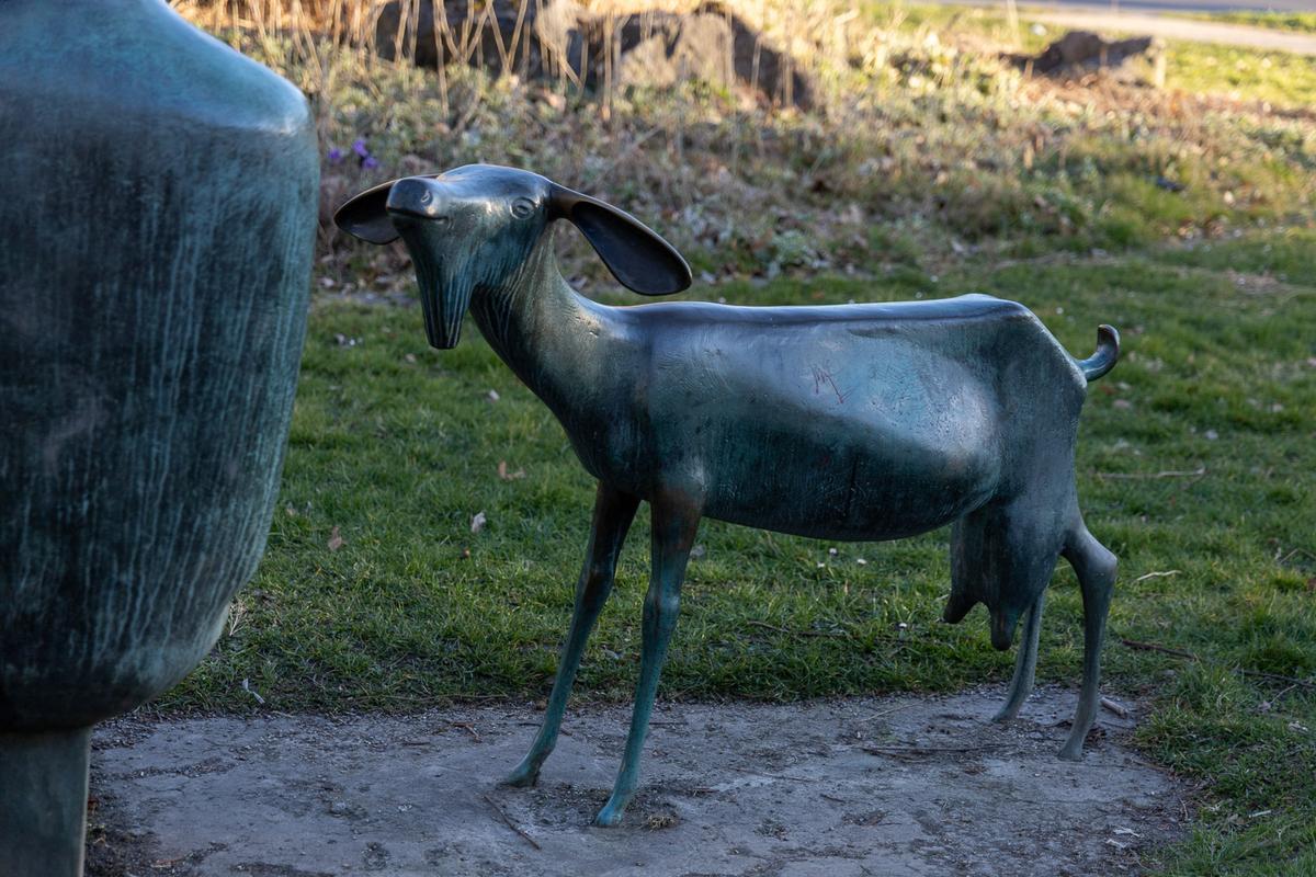 Bergmannskuh