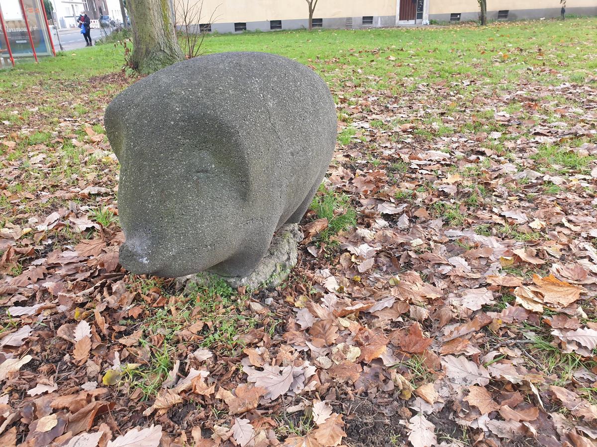 Schwein