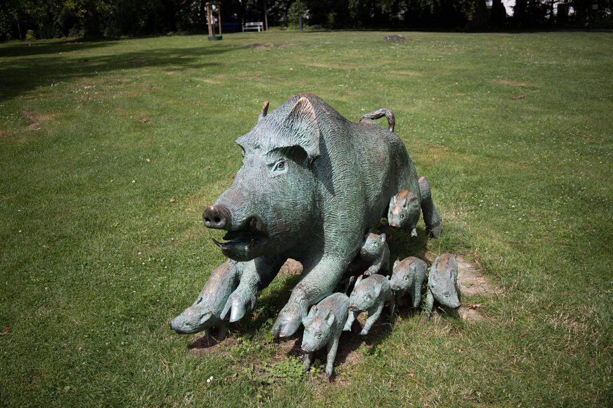 Wildwechsel (Wildschweine)