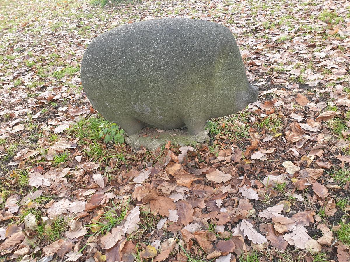 Schwein
