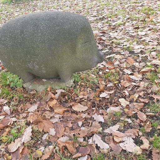 Schwein von Clemens Pasch