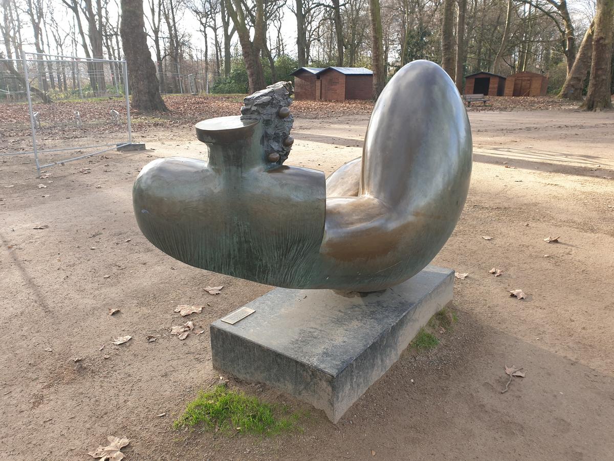 Torso