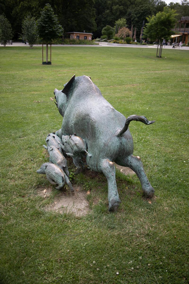 Wildwechsel (Wildschweine)
