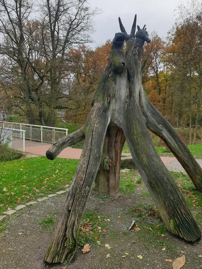 Die Zoogucker