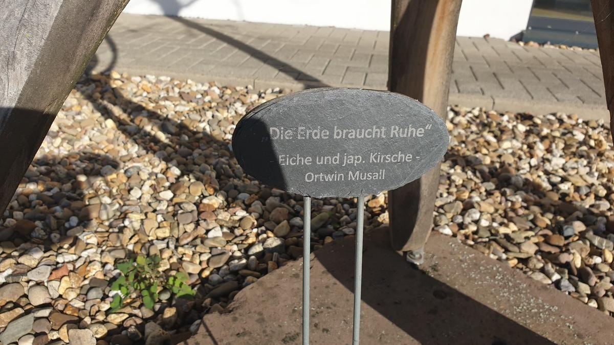 Die Erde braucht Ruhe