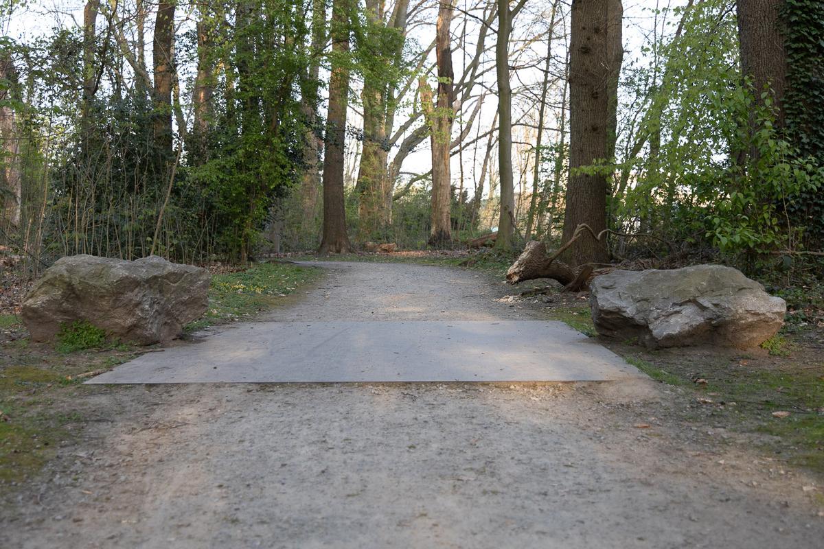 Relatum - Holzwege II