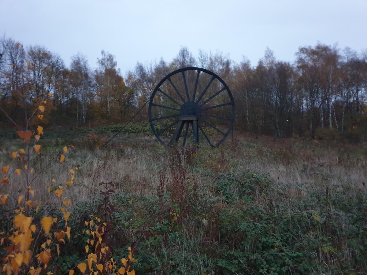 Seilscheibe