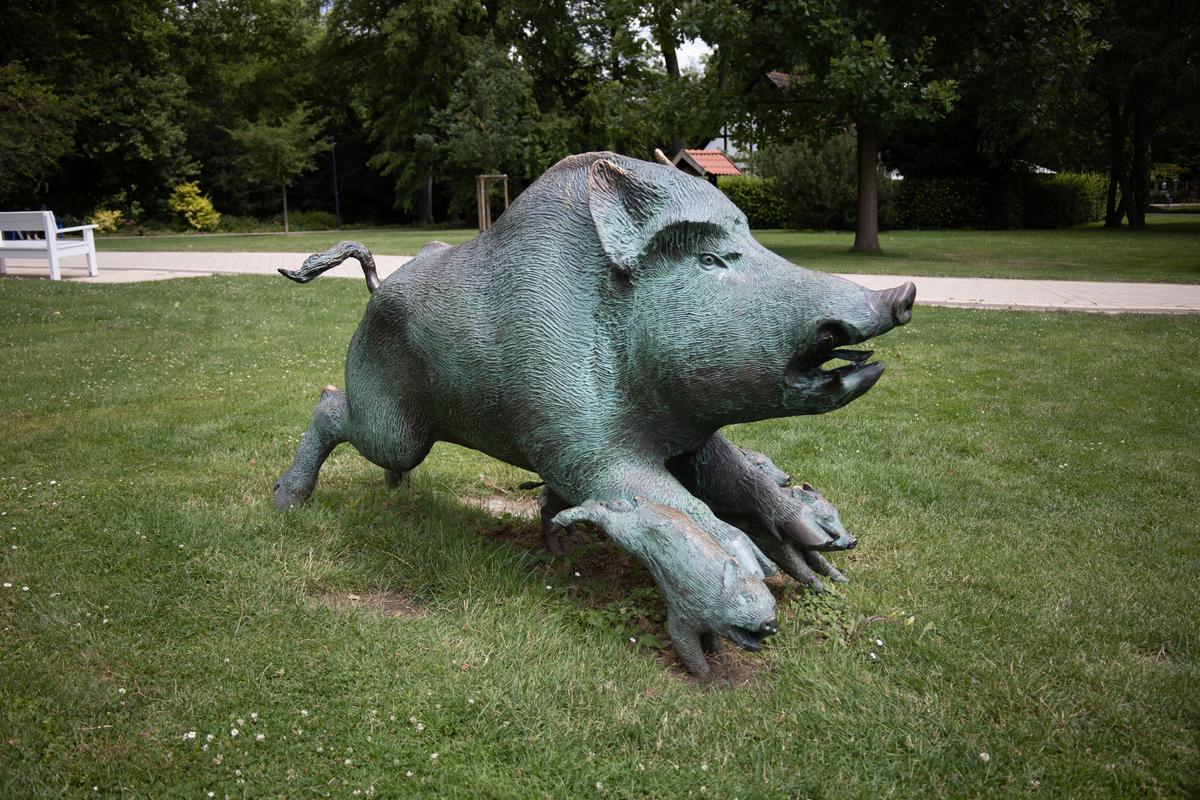 Wildwechsel (Wildschweine)