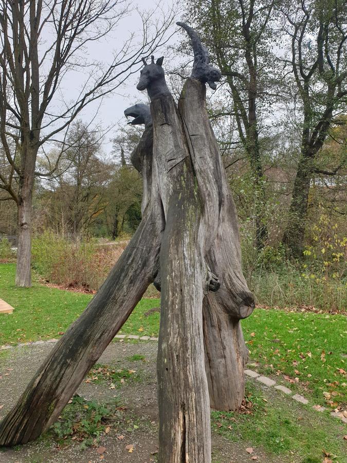 Die Zoogucker