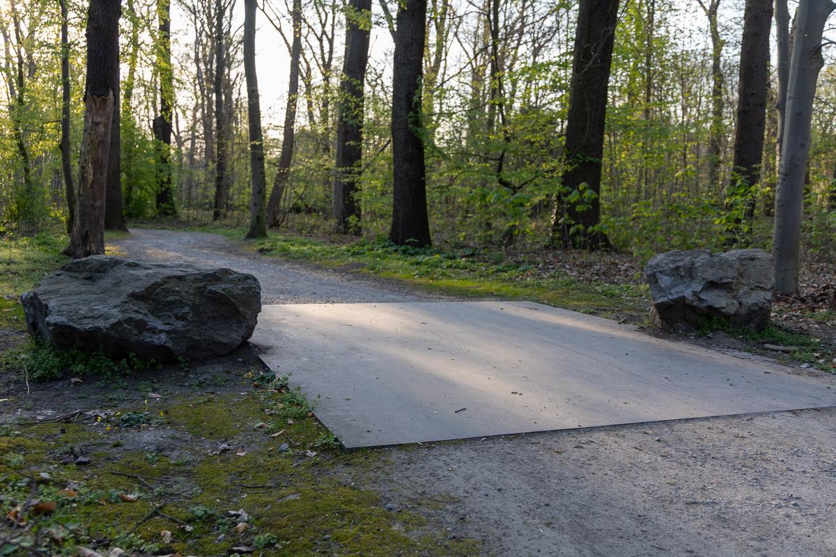 Relatum - Holzwege II