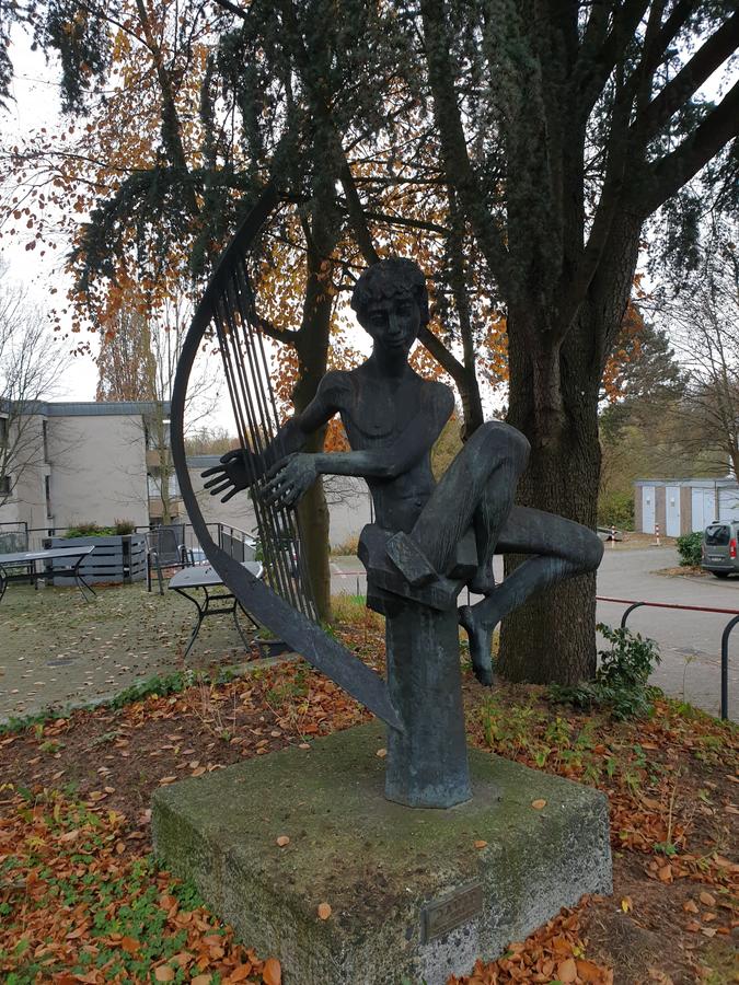 David