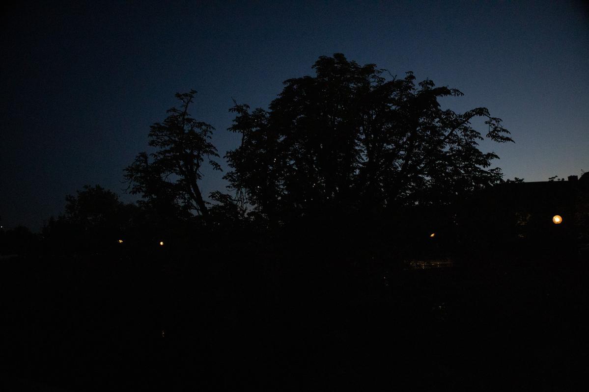 Glitzerbaum