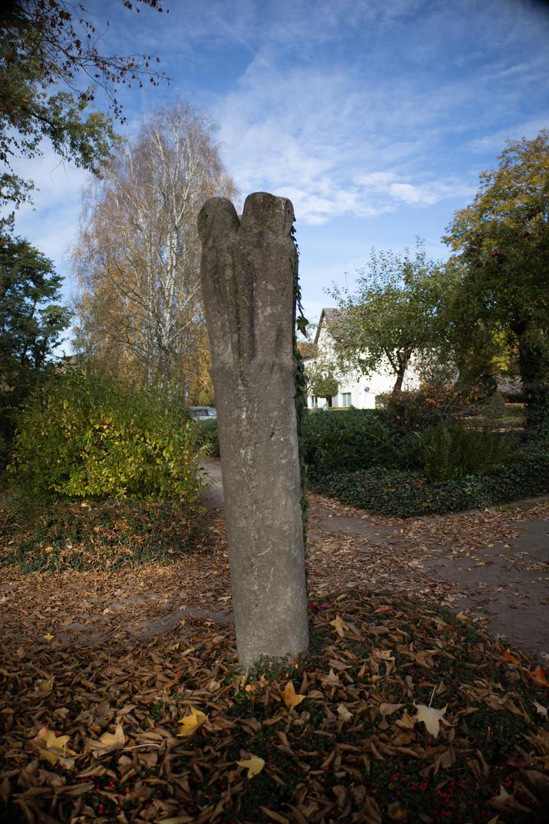 Drei Eulen