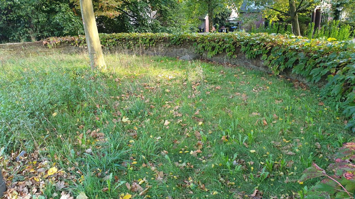 Gedenkstein für Otto Weddigen