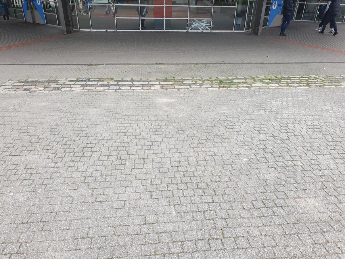 Porträt von Tom Fecht
