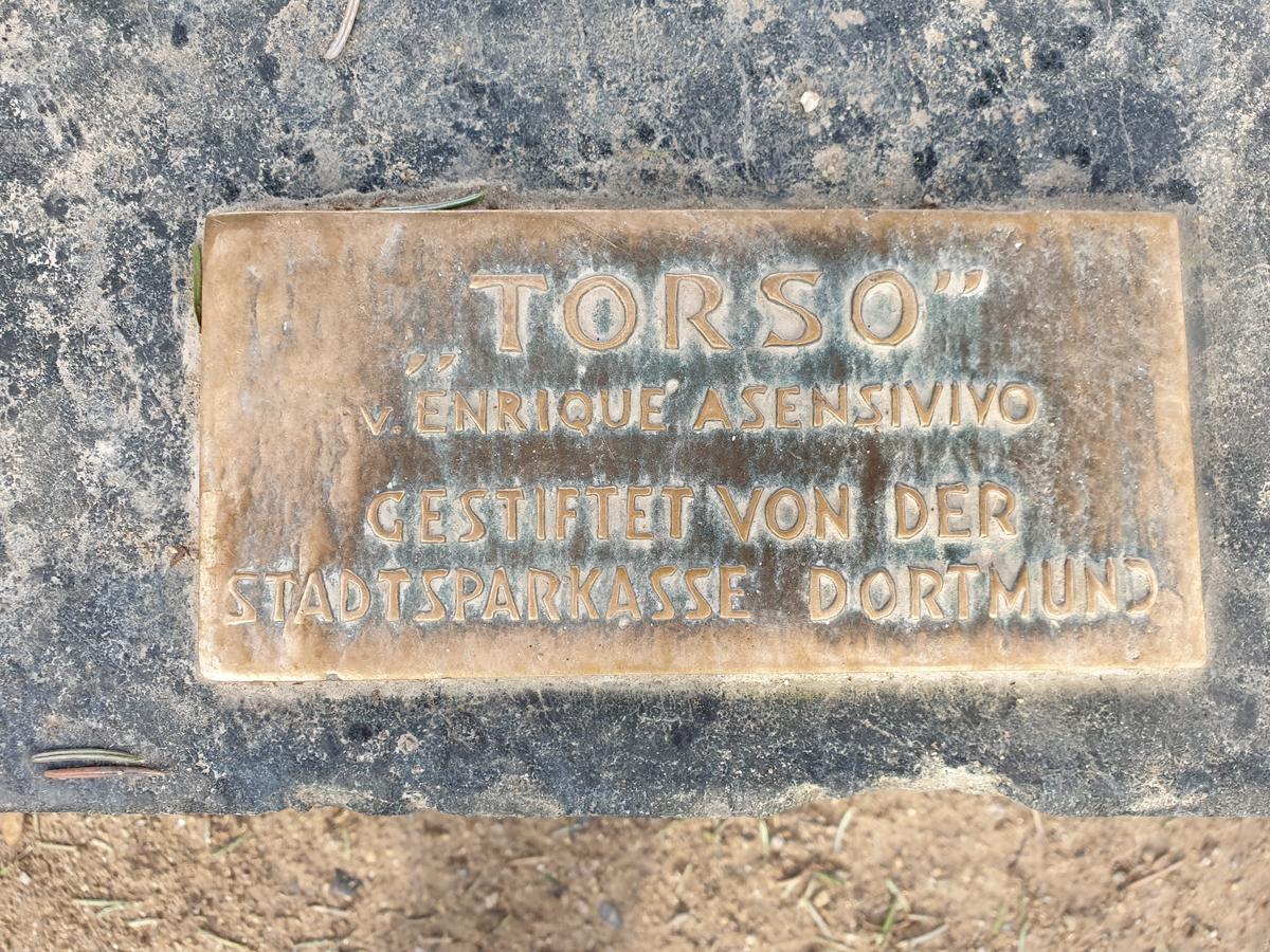 Torso